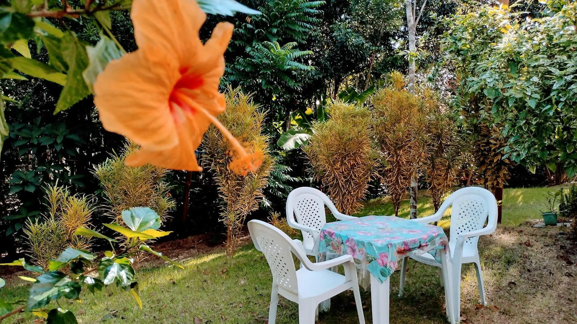 Castex Bistro E Cabanas Διαμέρισμα Πόρτο Σεγκούρο